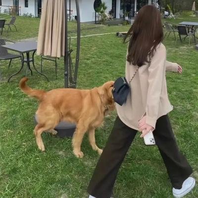未知死亡